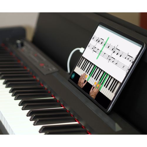 Цифровое пианино KORG LP-380-RW U